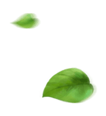leaf2