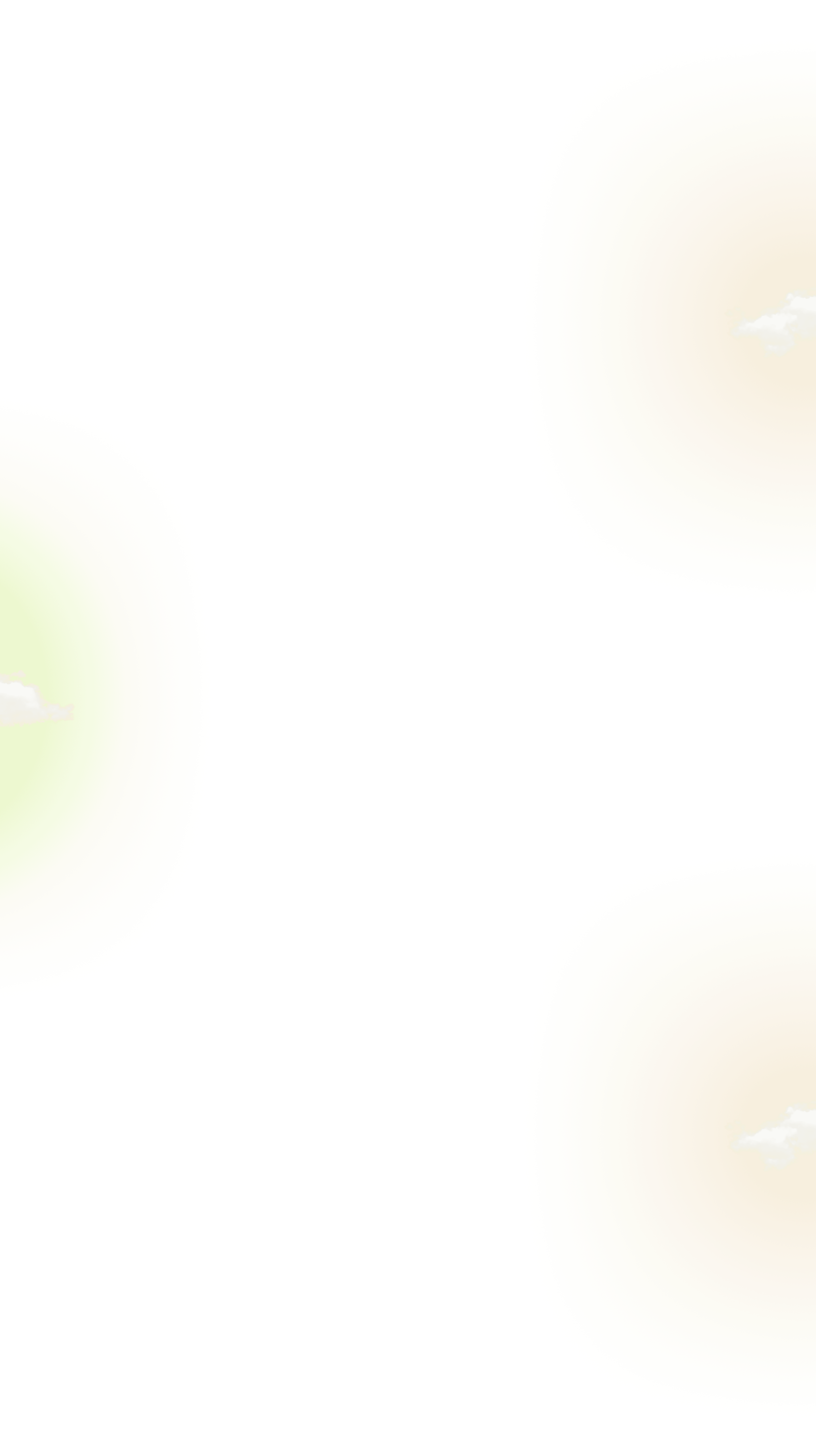 terms-bg
